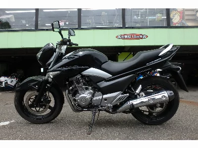 Suzuki GSR250
