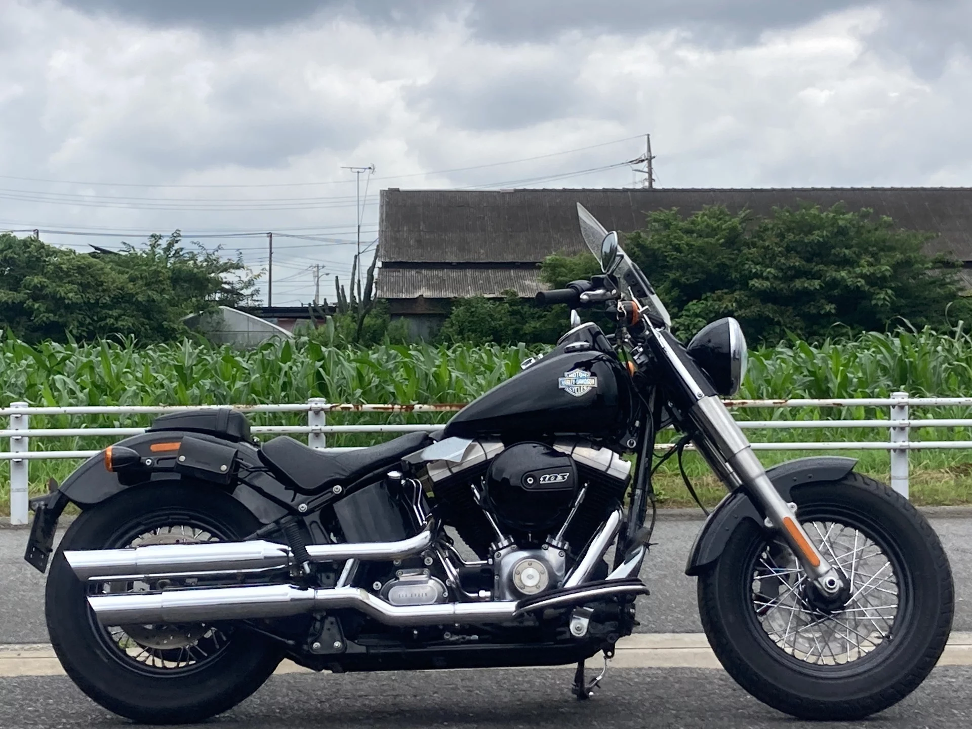 Harley-Davidson HARLEY FLS  с аукциона в Японии