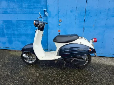 Suzuki VERUDE
