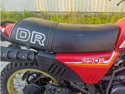 Suzuki DR250S