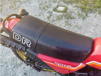 Suzuki DR250S