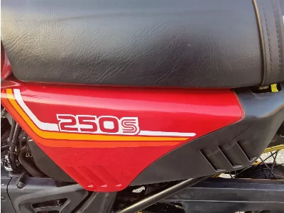 Suzuki DR250S