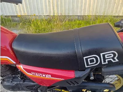 Suzuki DR250S