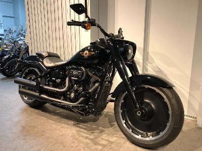 Harley-Davidson HARLEY FLFBS