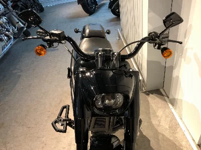 Harley-Davidson HARLEY FLFBS