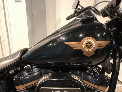 Harley-Davidson HARLEY FLFBS