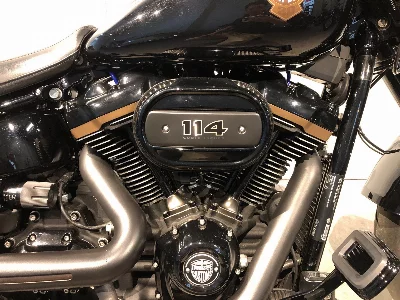 Harley-Davidson HARLEY FLFBS