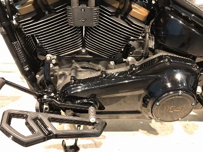 Harley-Davidson HARLEY FLFBS