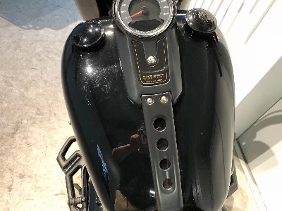 Harley-Davidson HARLEY FLFBS