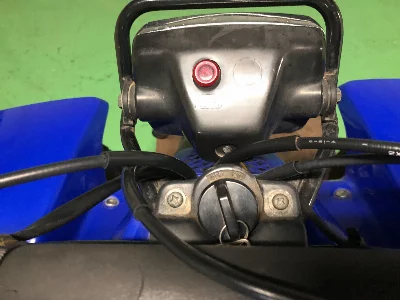 Yamaha YF200