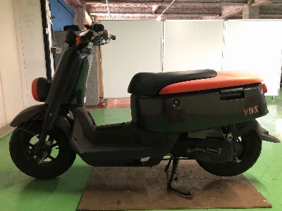 Yamaha VOX
