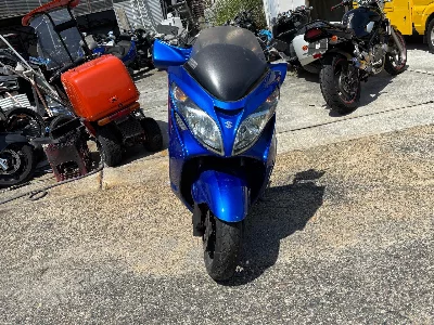 Suzuki SKYWAVE 250M