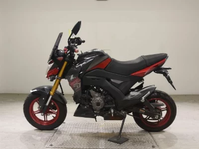 Kawasaki Z125PRO