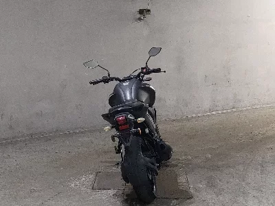 Yamaha FZS150