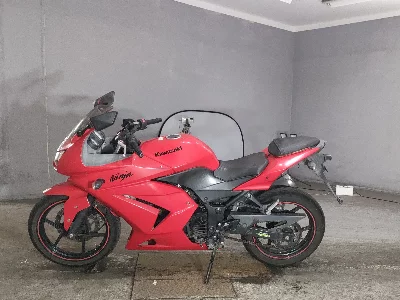 Kawasaki NINJA250R
