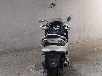 Suzuki SKYWAVE 250M