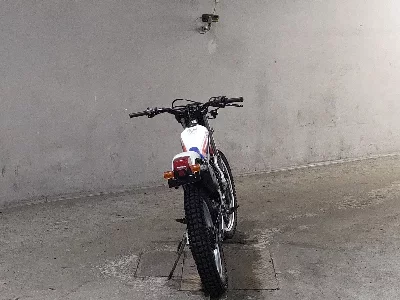 Honda TLR250