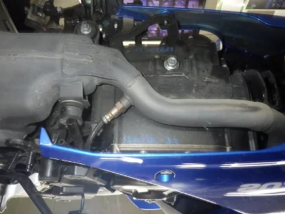 Suzuki JIKUSA-250SF