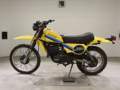 Suzuki TS250