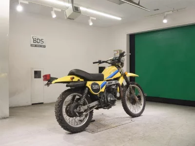 Suzuki TS250