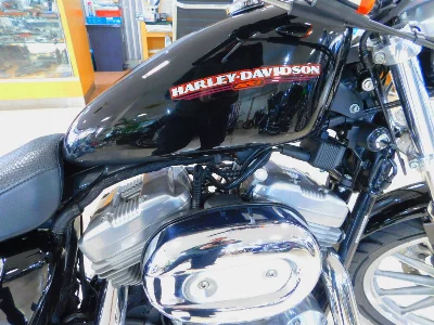 Harley-Davidson HARLEY XL883L
