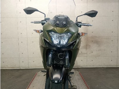 Kawasaki VERSYS-X 250