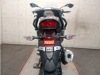 Kawasaki VERSYS-X 250