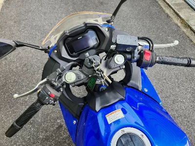 Suzuki GSX250R