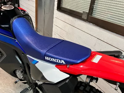 Honda CRF250 RALLY