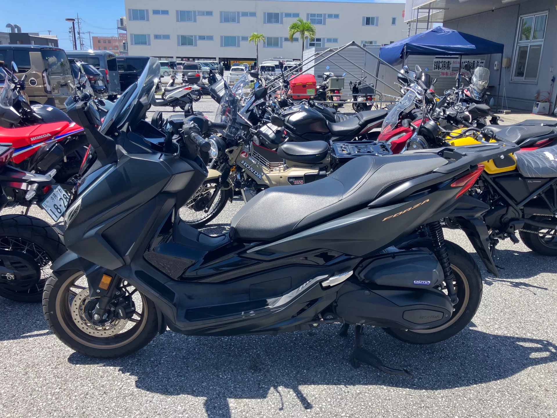 Honda FORZA 250  с аукциона в Японии