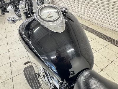 Yamaha DRAGSTAR1100