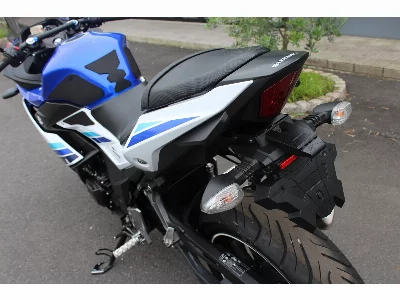 Suzuki GSX250R