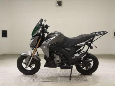 Kawasaki Z125PRO
