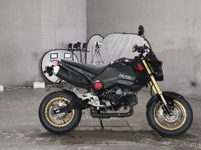 Honda GU ROM