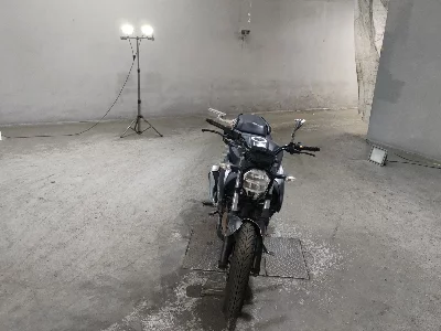 Suzuki JIKUSA-250