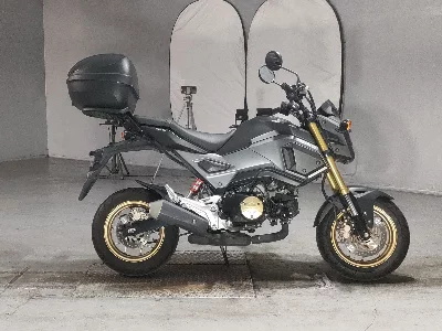 Honda GU ROM