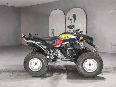 OTHER  BUGGY 50CC