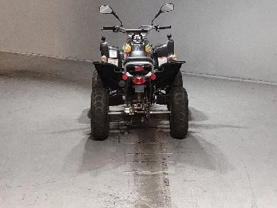 OTHER  BUGGY 50CC