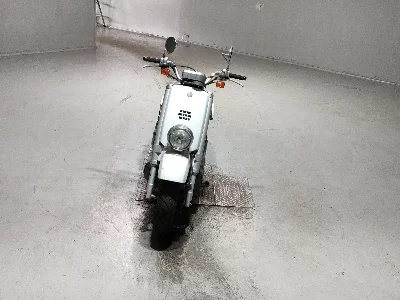 Yamaha VOX