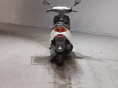 Yamaha AXIS100