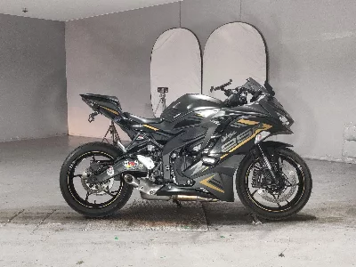Kawasaki  NINJA ZX-25R SE