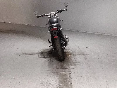 Triumph  TRIUMPH  SPEED 400