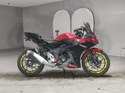 Suzuki GSX250R