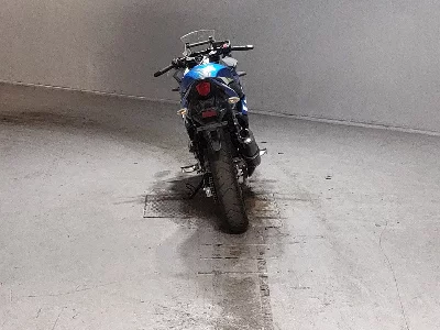 Suzuki GSX250R