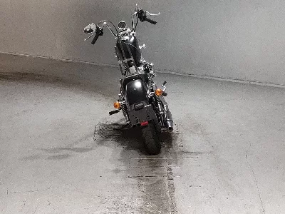Harley-Davidson HARLEY XL1200V