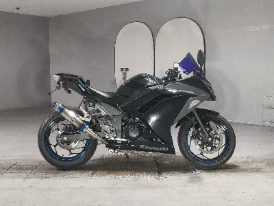 Kawasaki NINJA250