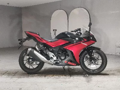 Suzuki GSX250R