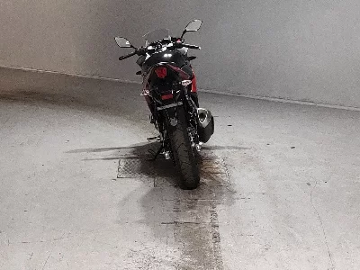 Suzuki GSX250R