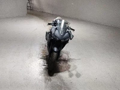 Yamaha YZF-R25