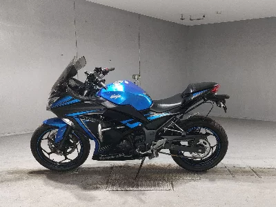 Kawasaki NINJA250